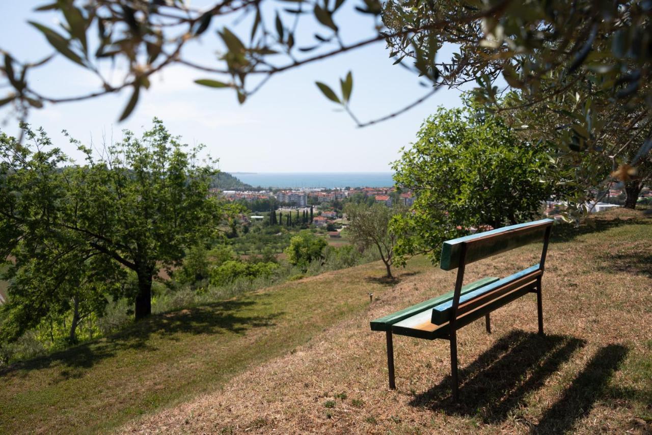 Istrian Casa Ladonia By Locap Group Villa Portoroz Exterior photo